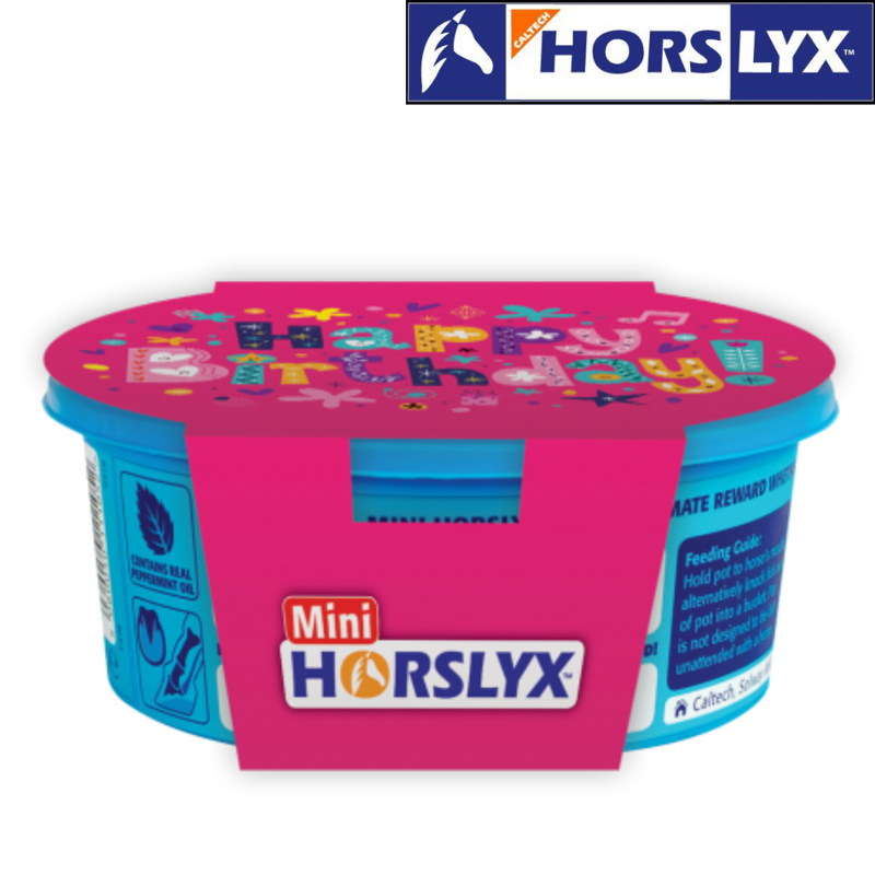 Horslyx Mini Gift Sleeve Happy Birthday-1